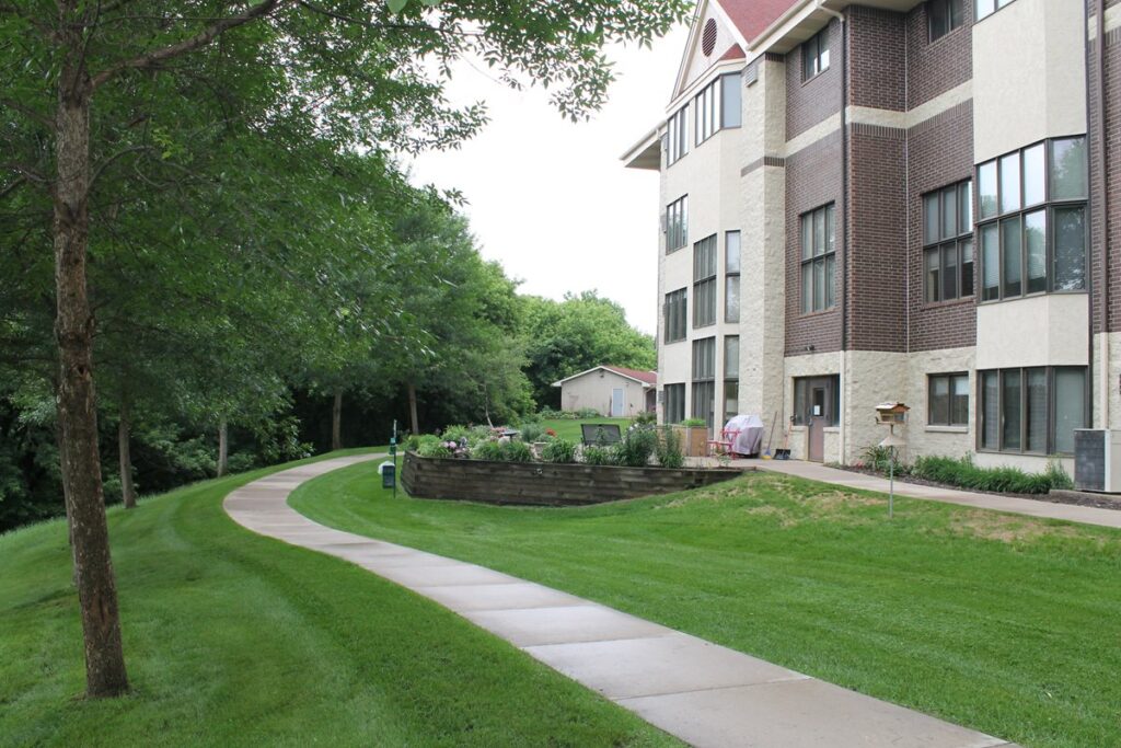 Image of the backyard.