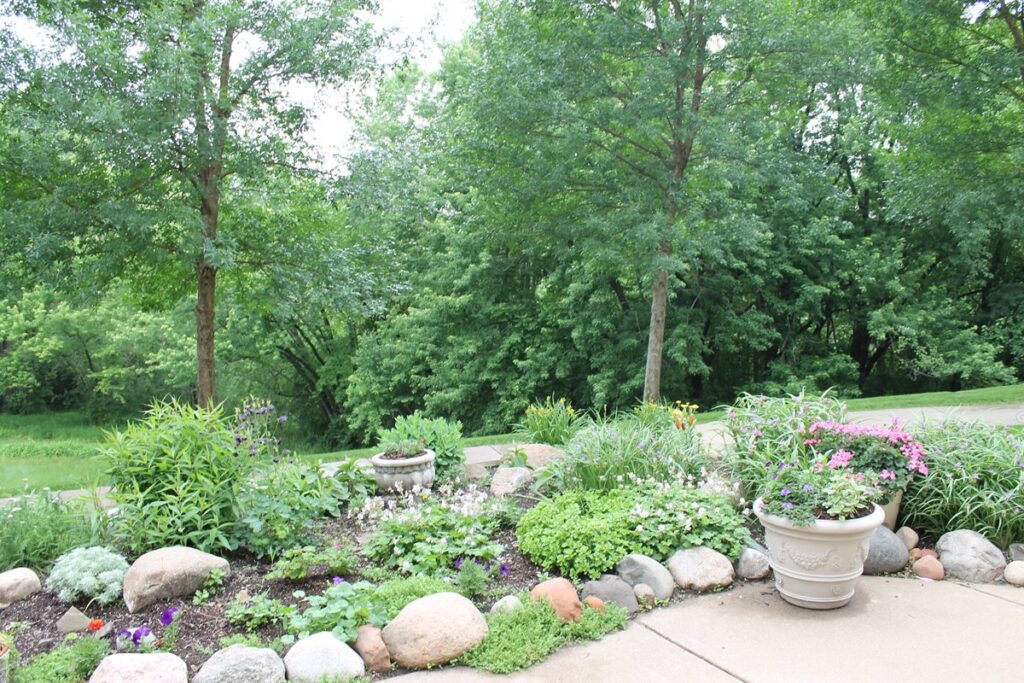 Image of the backyard patio.